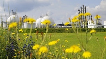 Im Werksteil Friesenheimer Insel des BASF-Verbundstandorts Ludwigshafen stehen 50 Tanks, die die Produktionsanlagen mit Einsatzstoffen versorgen. Die Tanks haben zusammen etwa ein Fassungsvermögen von 350 Millionen Litern an Petrochemikalien wie Butan, Benzol und Naphtha.
The Friesenheim Island section of BASF’s Verbund site in Ludwigshafen is home to 50 tanks that supply the production facilities with feedstocks. The tanks have a combined total capacity of around 350 million liters of petrochemicals such as butane, benzene and naphtha. Im Werksteil Friesenheimer Insel des BASF-Verbundstandorts Ludwigshafen stehen 50 Tanks, die die Produktionsanlagen mit Einsatzstoffen versorgen. Die Tanks haben zusammen etwa ein Fassungsvermögen von 350 Millionen Litern an Petrochemikalien wie Butan, Benzol und Naphtha.
The Friesenheim Island section of BASF’s Verbund site in Ludwigshafen is home to 50 tanks that supply the production facilities with feedstocks. The tanks have a combined total capacity of around 350 million liters of petrochemicals such as butane, benzene and naphtha.